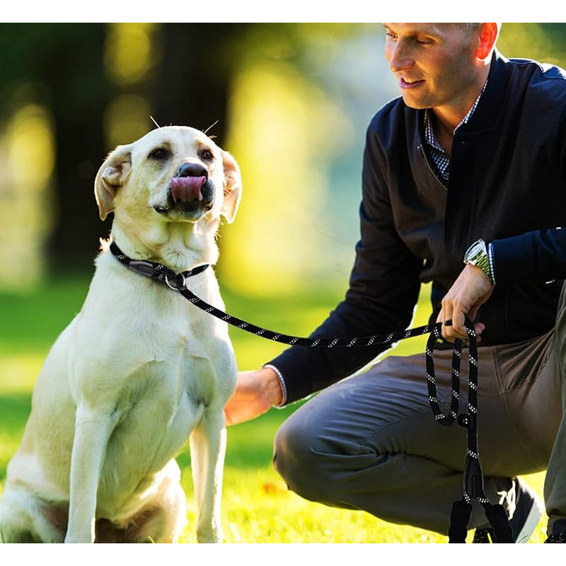 Premium Heavy Duty 6 FT Rope Dog Leash with Padded Handle