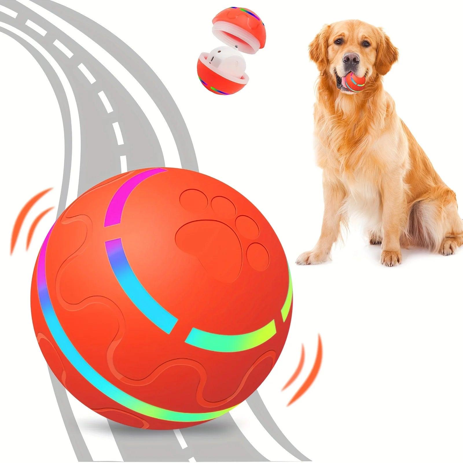 "Interactive pet ball for playful pups"