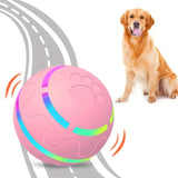 "Colorful LED toy for dogs"