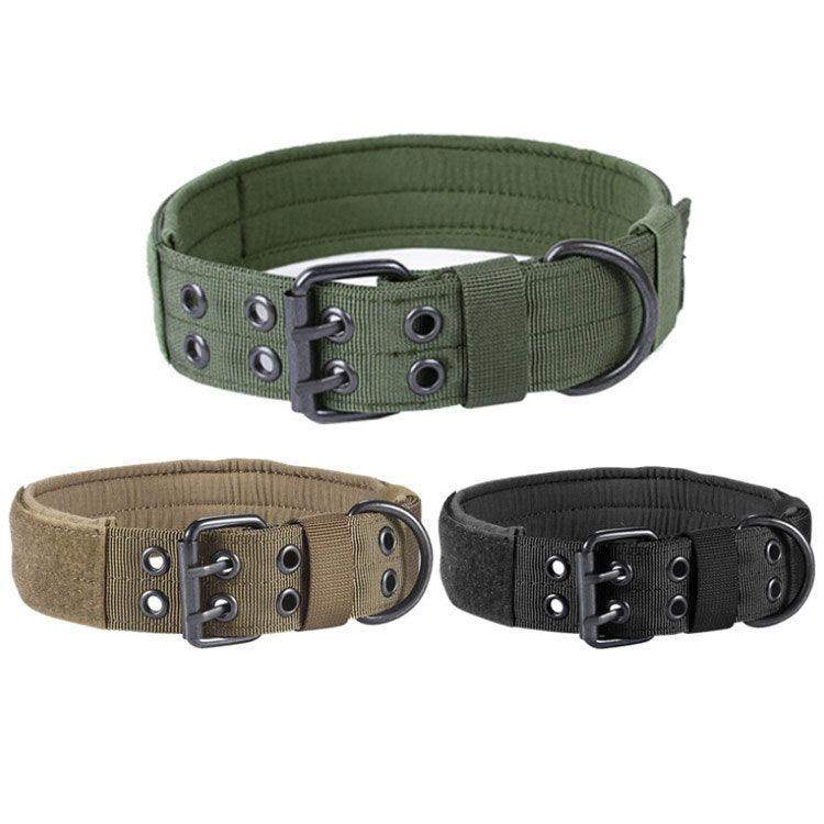 Stylish Dog Collars