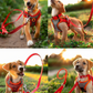 Puppy Harness and Leash Set with Reflective Strip