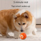 Rechargeable Interactive Pet Ball with LED Lights – Automatic Bouncing, Chew-Resistant Dog Toy