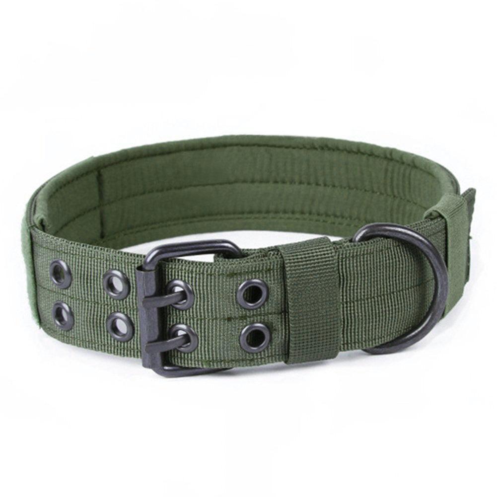 "Sturdy anti-grind dog collar option"