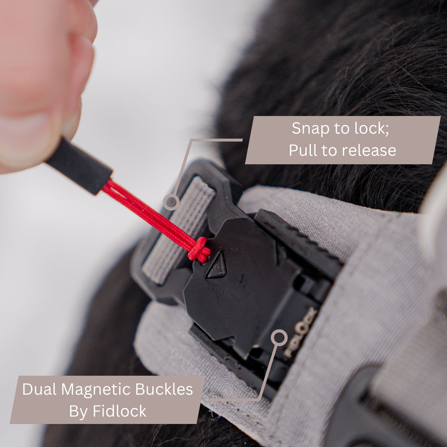 The Revolution is Here: No-Pull Magnetic Dog Harness