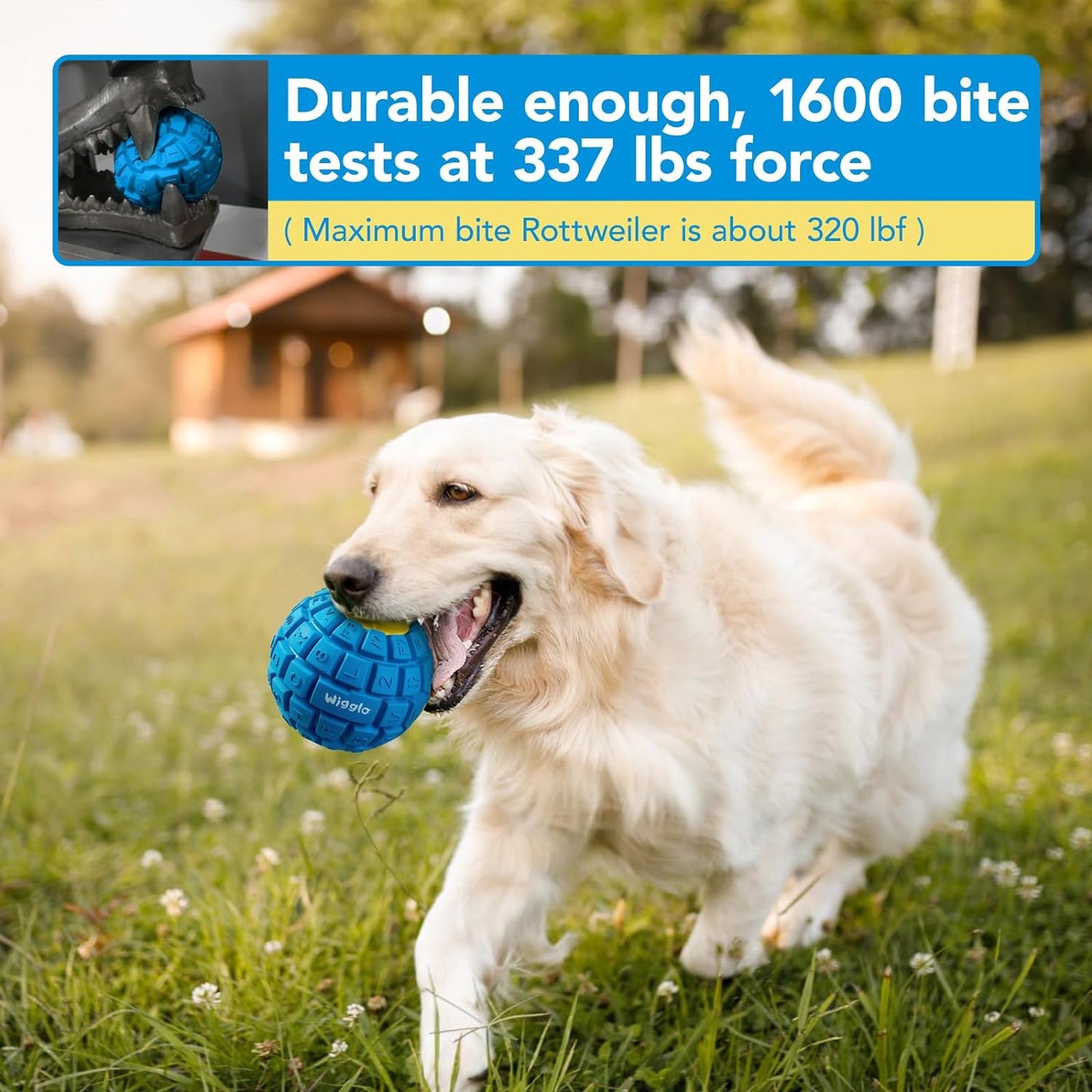 Tough Durable Ball Toy for Aggressive Chewers, Natural Rubber Chew Toy for Medium/Large Dogs, 3.5" Diameter Helps with Separation Anxiety and Boredom, Dishwasher Safe, Blue