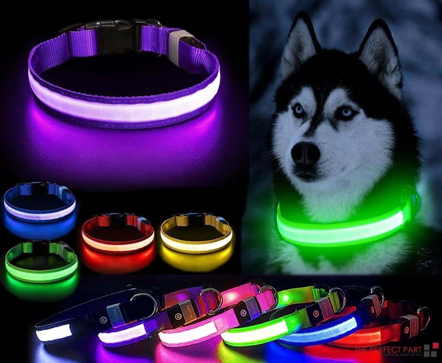 LED Adjustable Dog Collar Blinking Flashing Light up Glow Pets Safety Waterproof