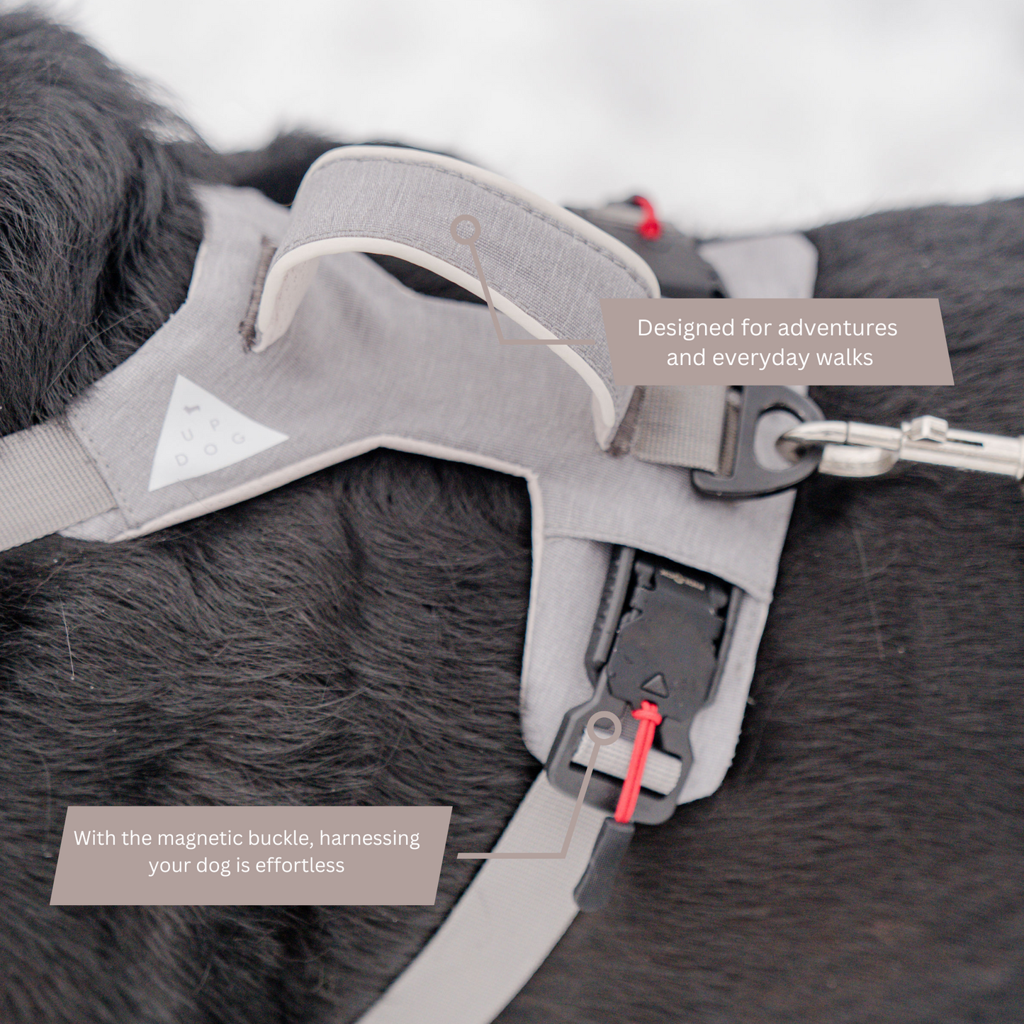 The Revolution is Here: No-Pull Magnetic Dog Harness