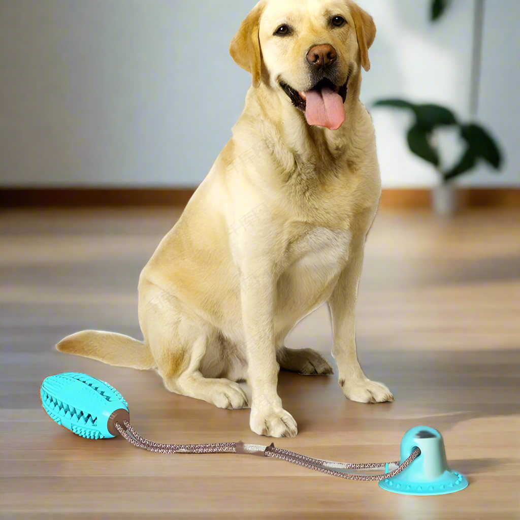 Dog Suction Cup Toys for aggressive chewers