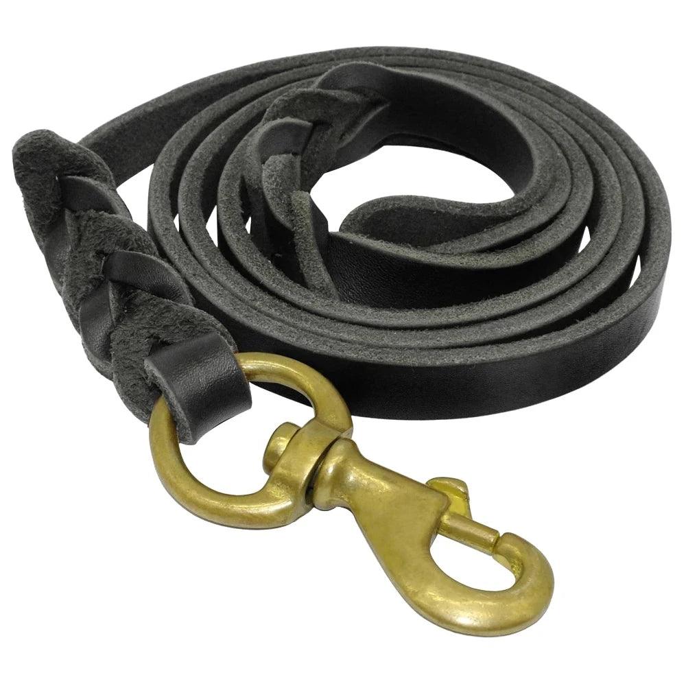 Pet walking leash with timeless design.