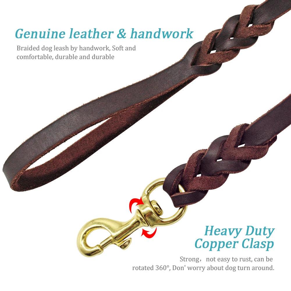 "Durable leather leash for dog walks"