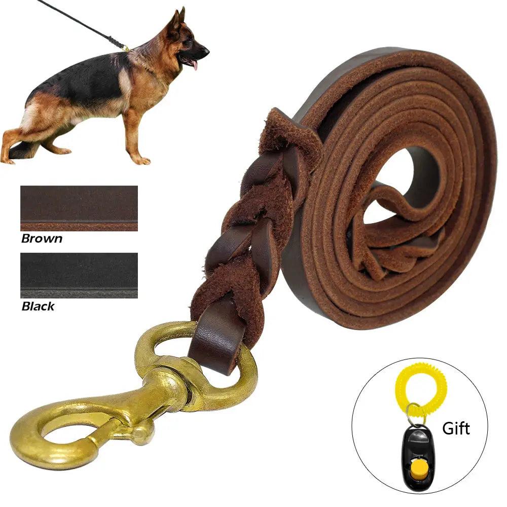 Braided leather dog leash with sturdy metal clasp.