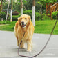 "Luxurious leather leash for pet owners"