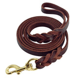 Premium leather leash for your furry friend"