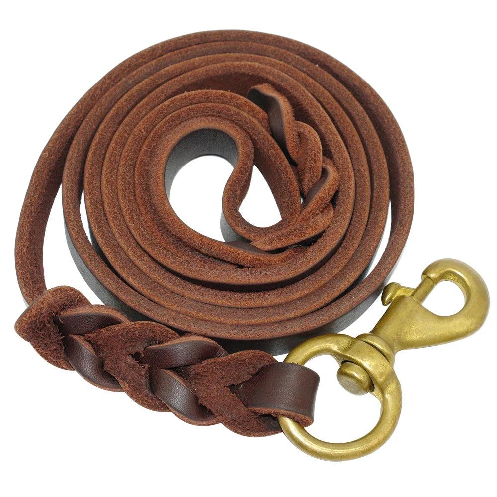 Reliable braided leather leash for daily walks.