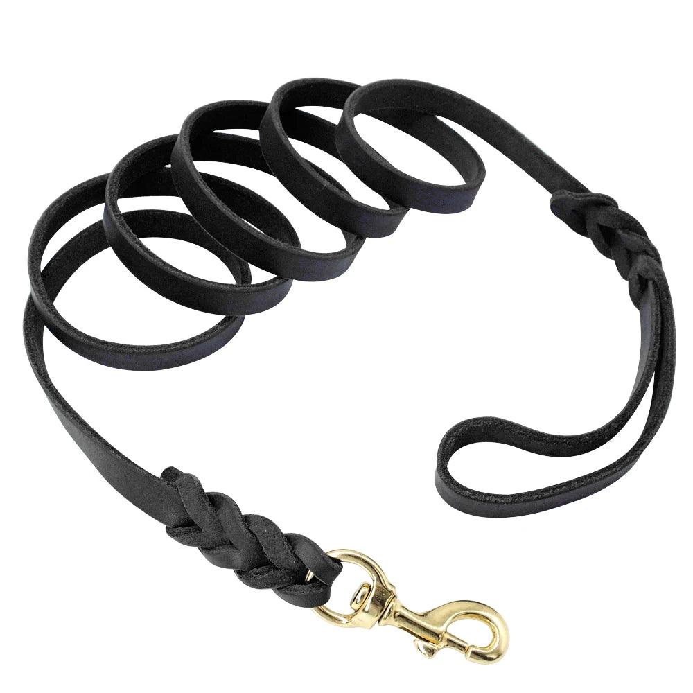 "Durable leather leash for dog walks"