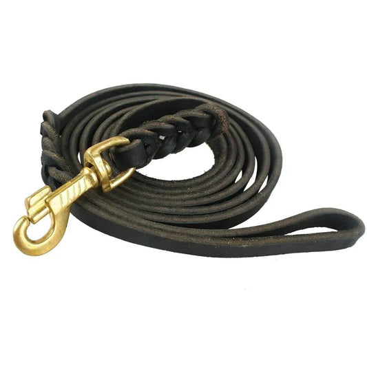 "High-quality leash for your canine companion"