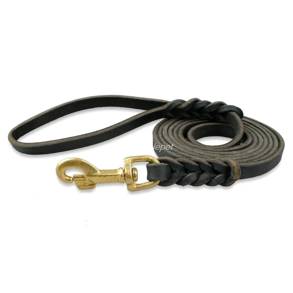 "Top-notch leather dog leash for walks"