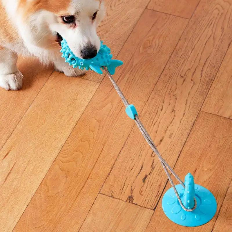 Suction Cup Dog Tug Interactive Chew Toy - Leash The Love