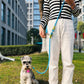 Reflective nylon dog leash on a white background.