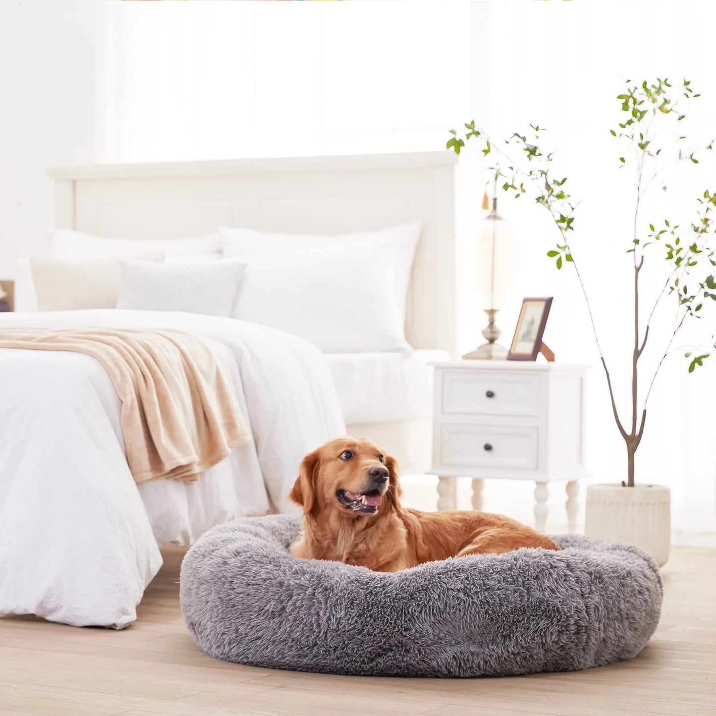 Calming Donut Dog Bed