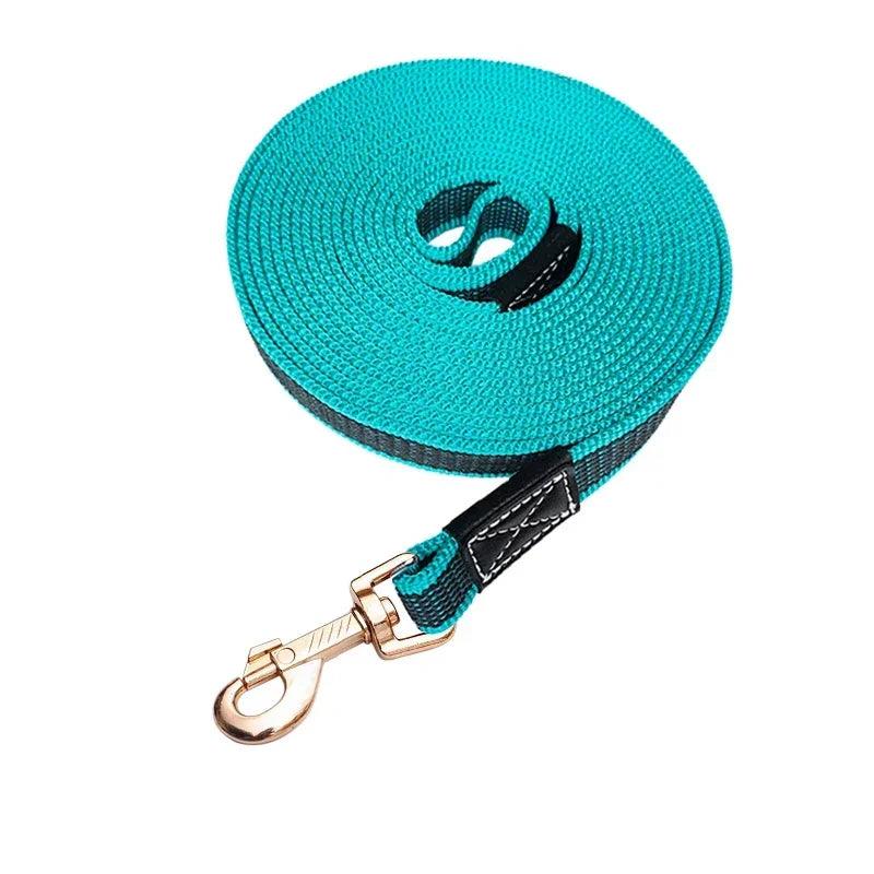 Enjoying nature walks with the dog, feeling confident with the durable outdoor leash.