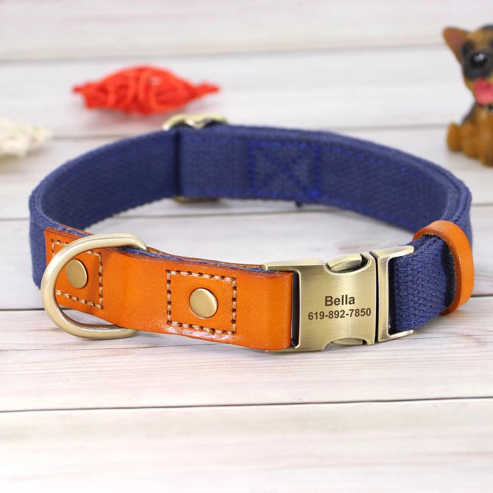 "Unique pet collar with personalized engraving"