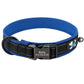 Dog collar with personalized name and contact details.