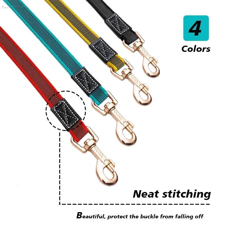 Reflective stitching on the leash for increased visibility during low-light conditions.