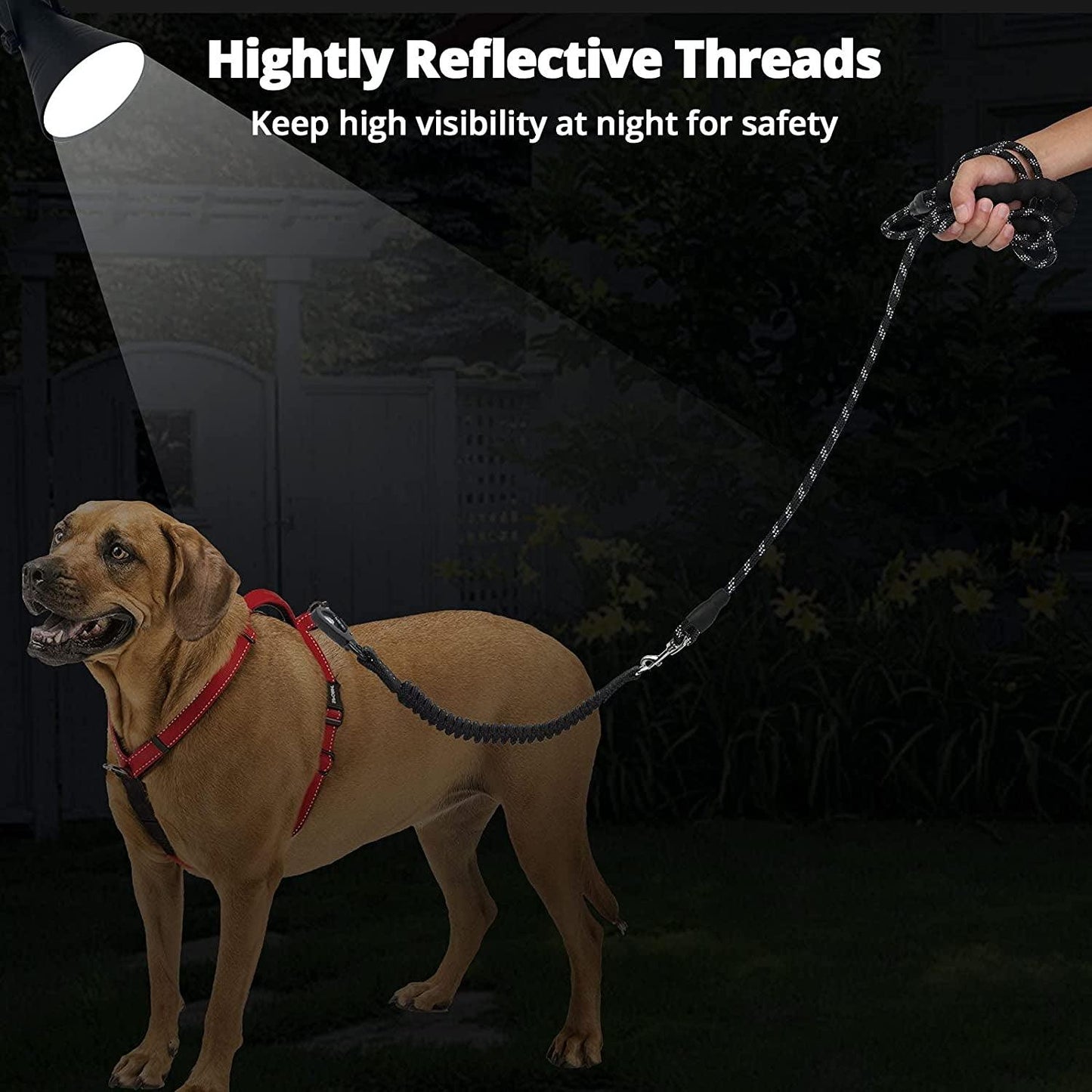 "Robust leash for training and walks"