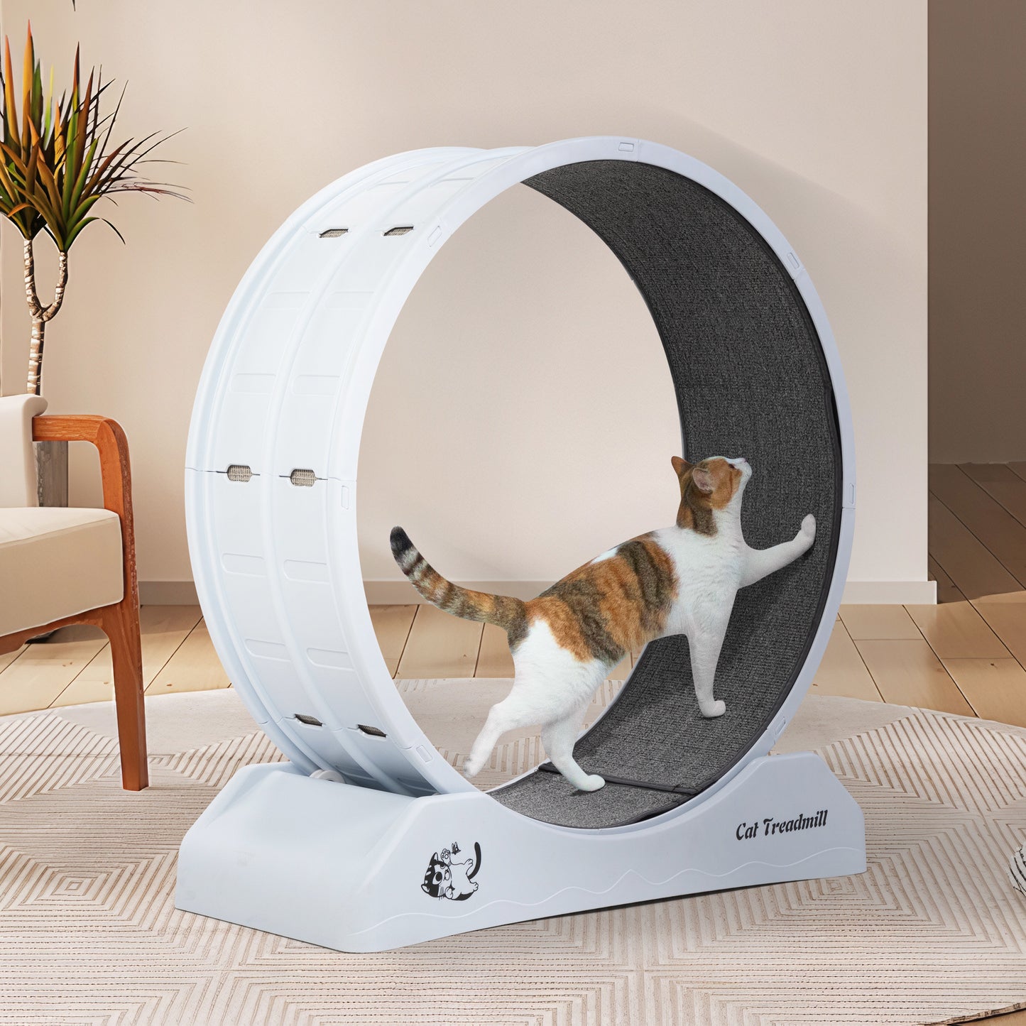 Cat Running Wheel, Small Animal Exercise Treadmill w/ Locking Mechanism, Carpet Runway, Indoor, White Gray