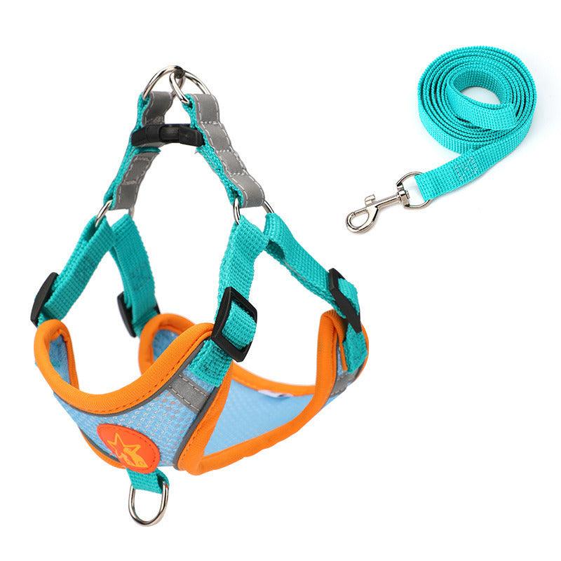 Featured Leashes