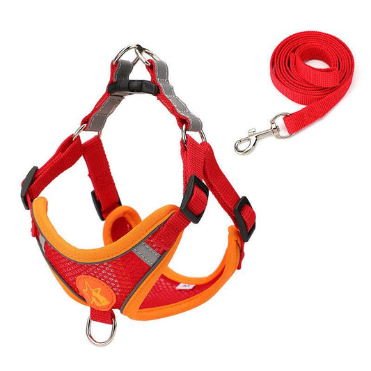 Comfortable and adjustable puppy harness with leash.